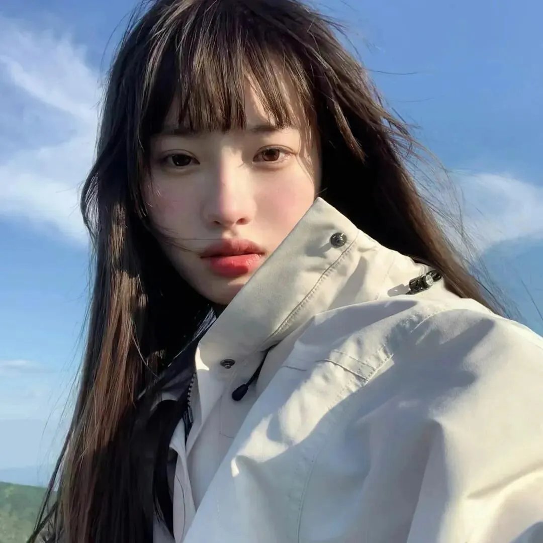 最后的维米尔